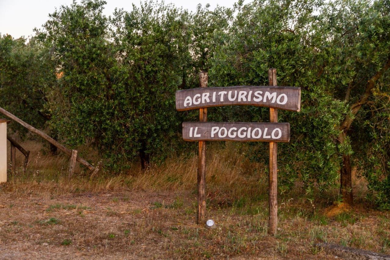 Agriturismo Il Poggiolo Villa Grosseto Kültér fotó